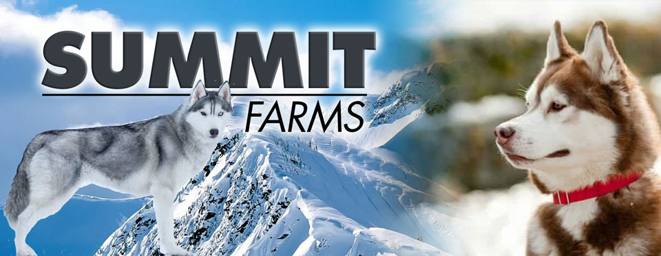 summit banner